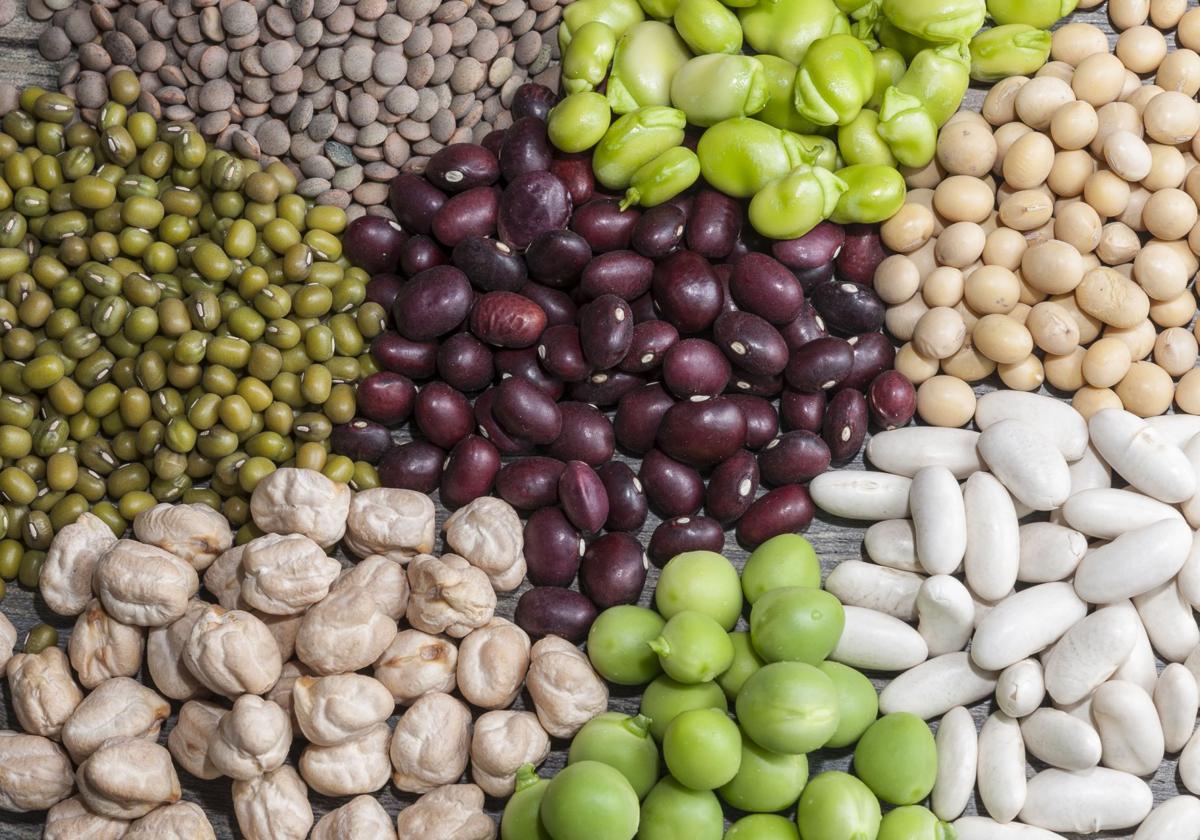 Las legumbres, superalimentos esenciales en una buenaalimentación.