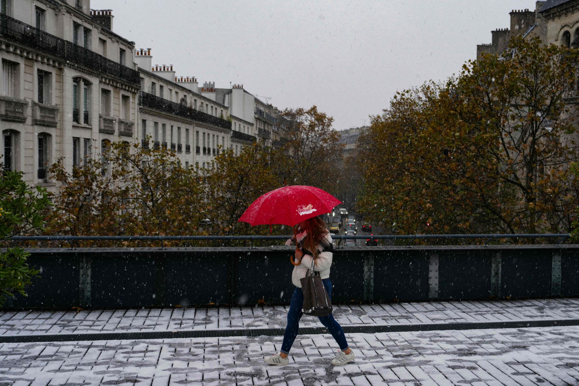 La nieve hace más bonita París: así está Notre Dame bajo un manto blanco