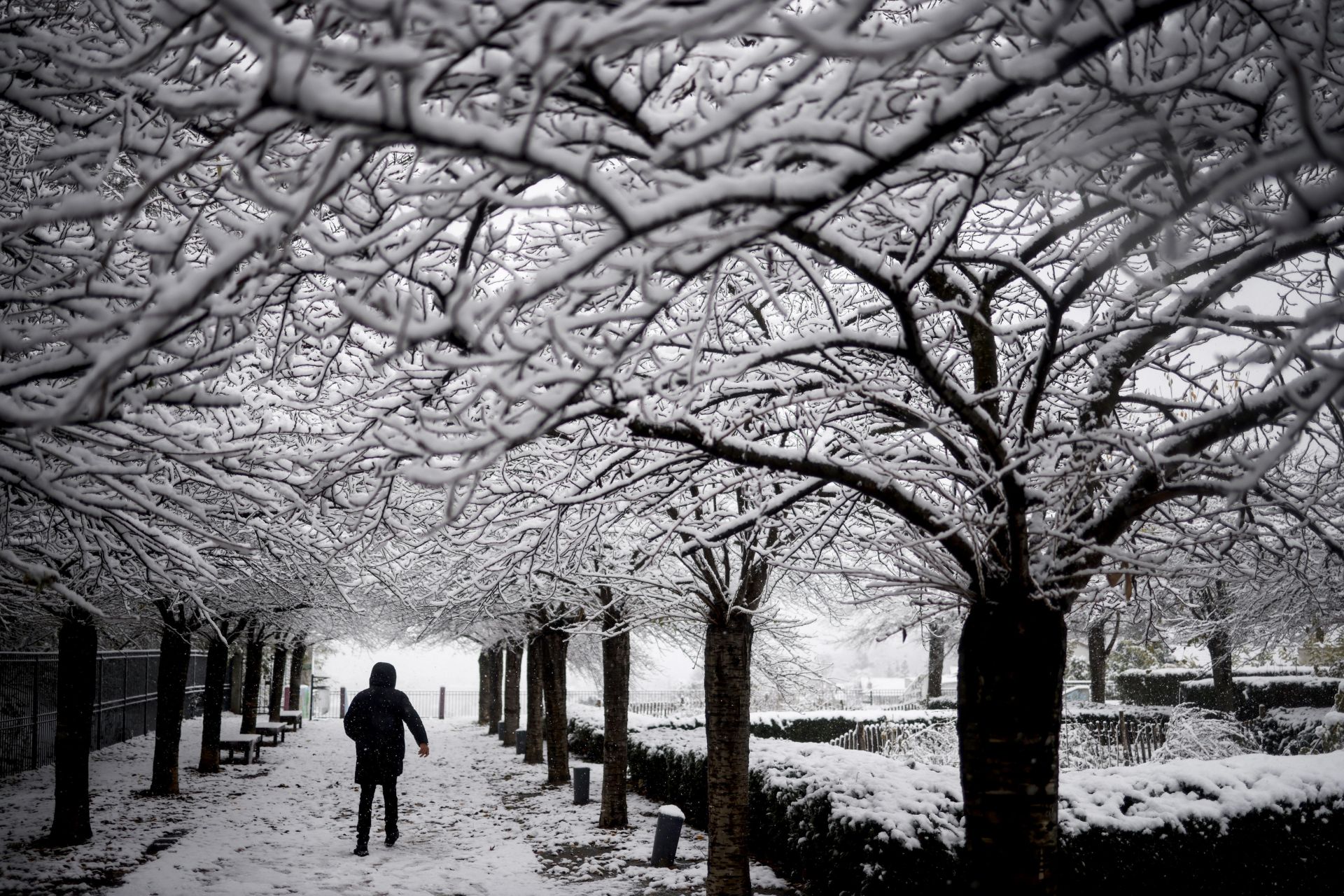 La nieve hace más bonita París: así está Notre Dame bajo un manto blanco