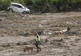 Un miembro de la UME busca posibles fallecidos en una zona de Riba-Roja.