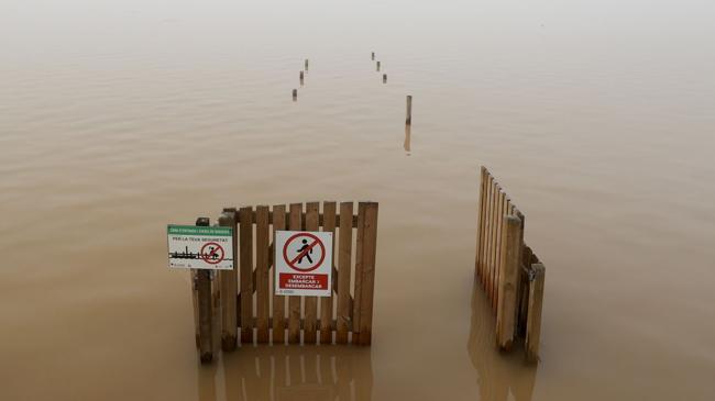 Imagen antes - La Albufera