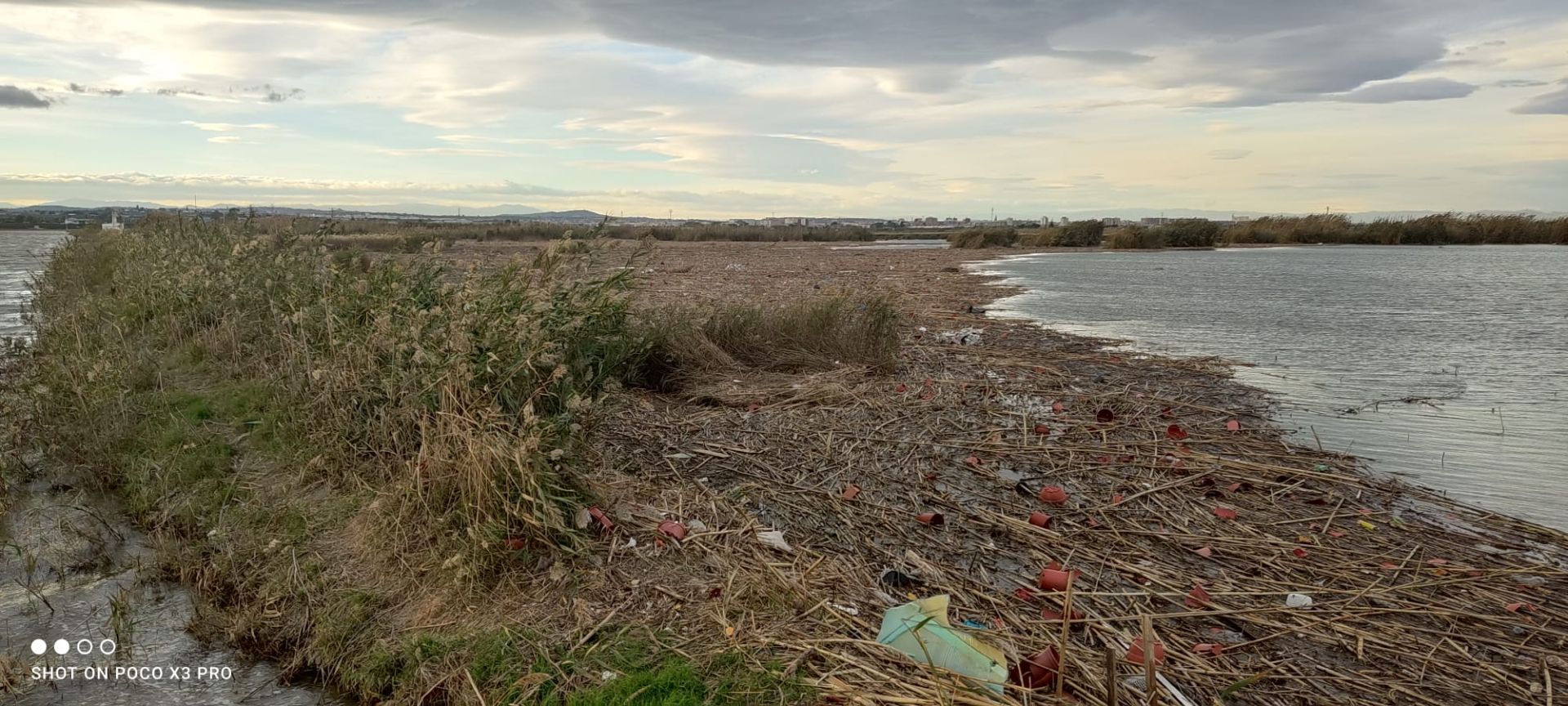 Residuos arrastrados por la DANA en la Albufera