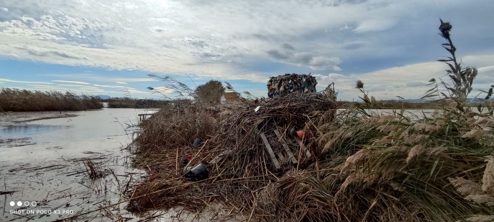 Residuos arrastrados por la DANA en la Albufera