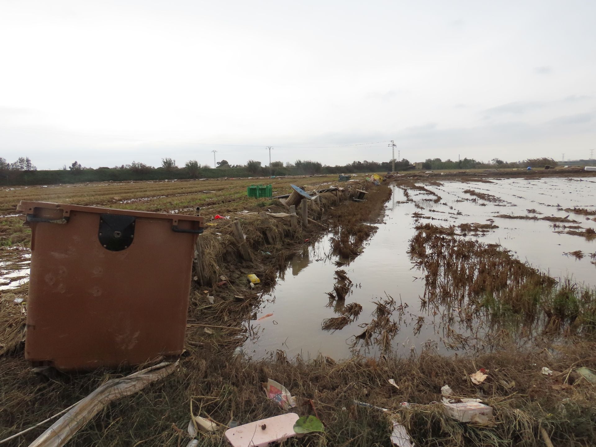 Residuos arrastrados por la DANA en la Albufera