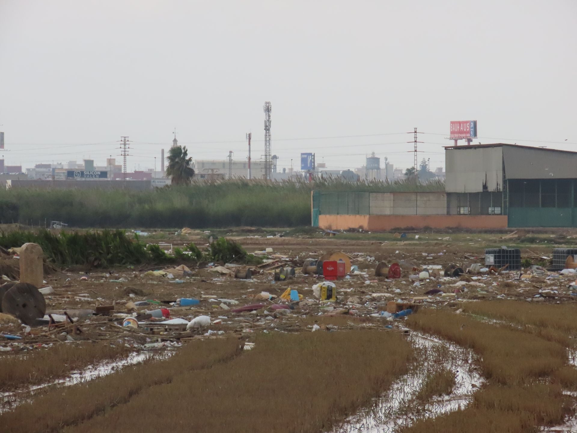 Residuos arrastrados por la DANA en la Albufera