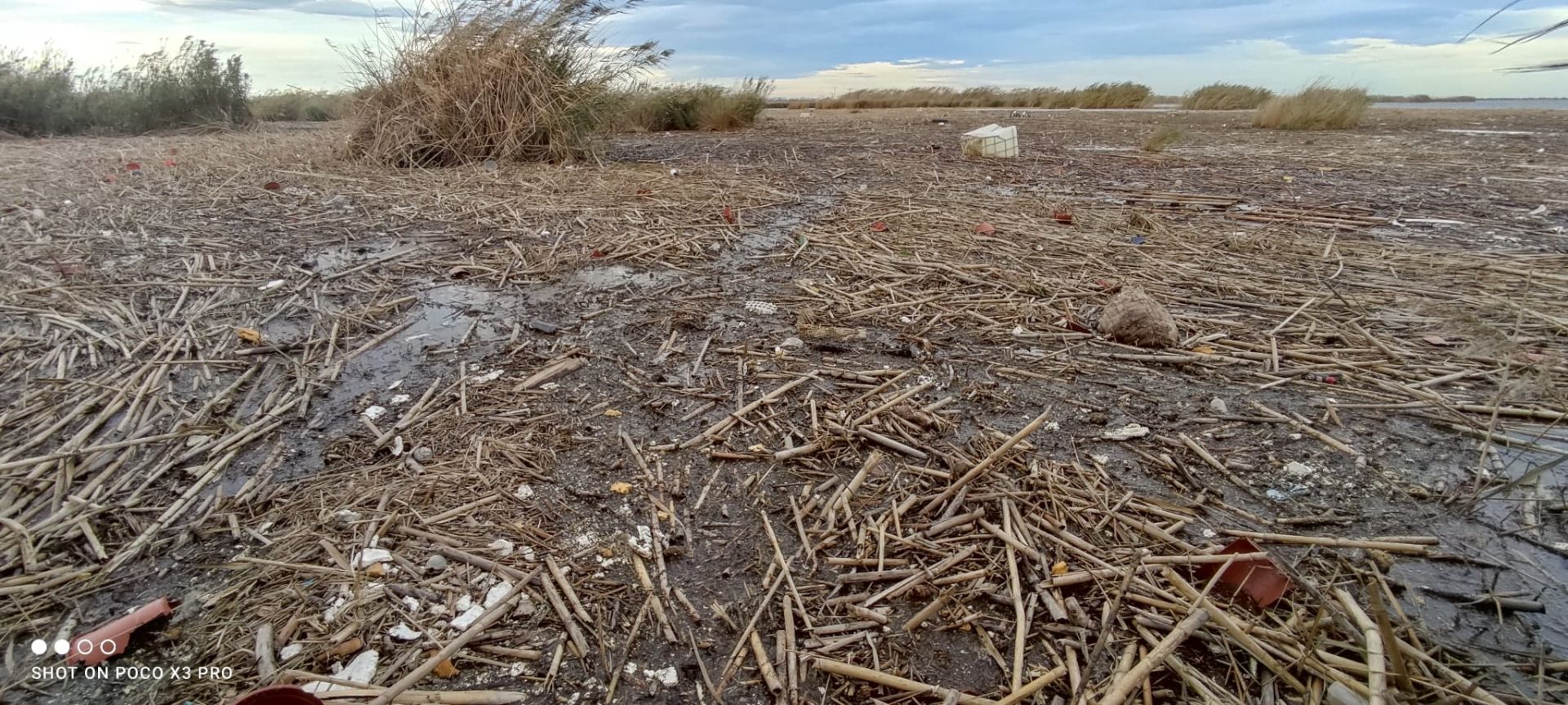 Residuos arrastrados por la DANA en la Albufera