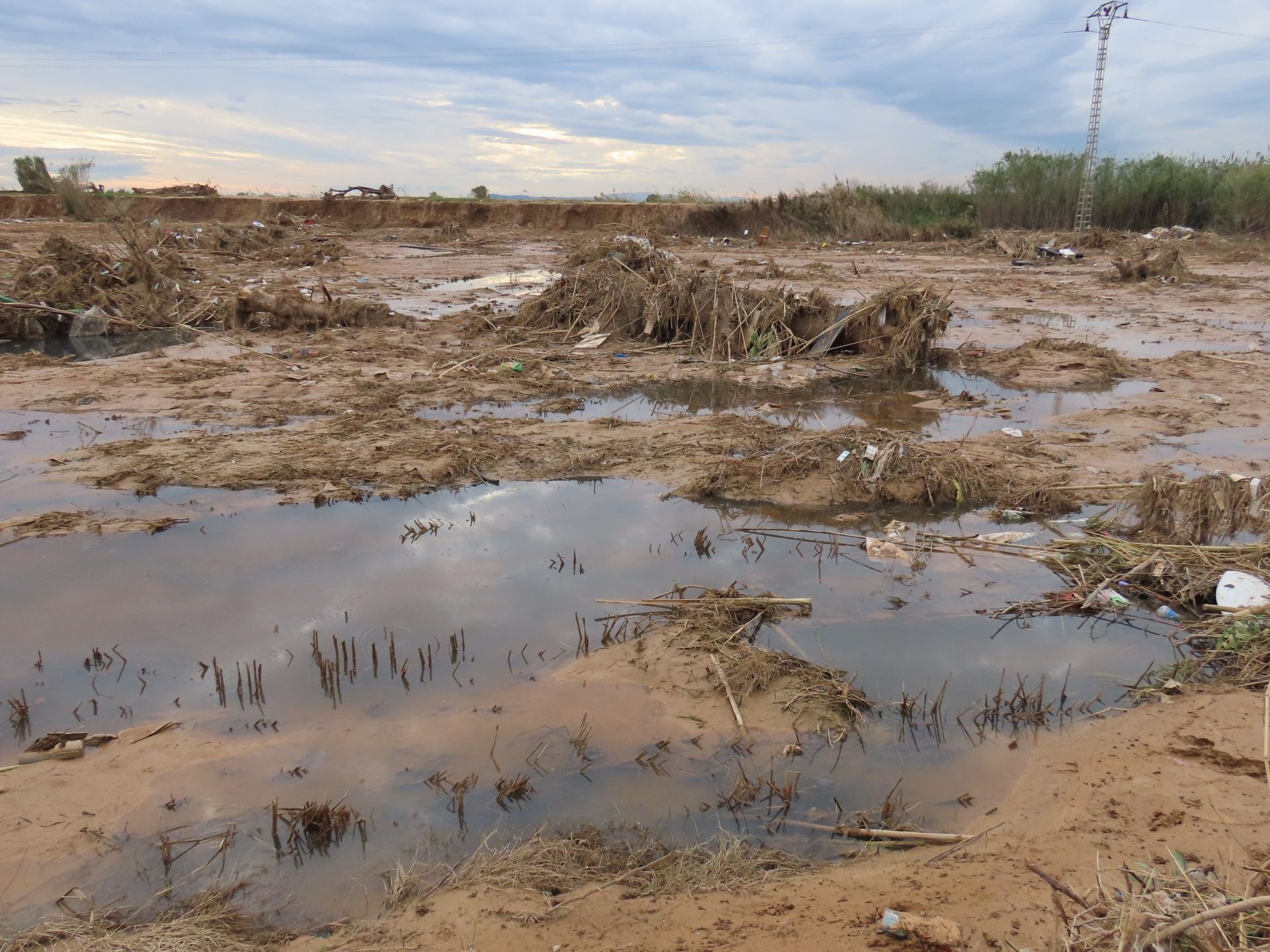 Residuos arrastrados por la DANA en la Albufera