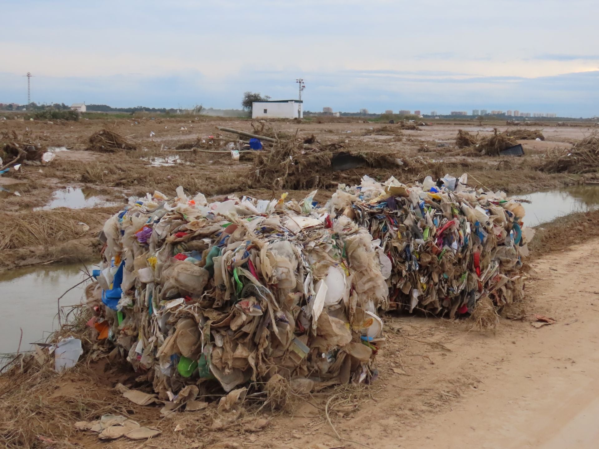 Residuos arrastrados por la DANA en la Albufera