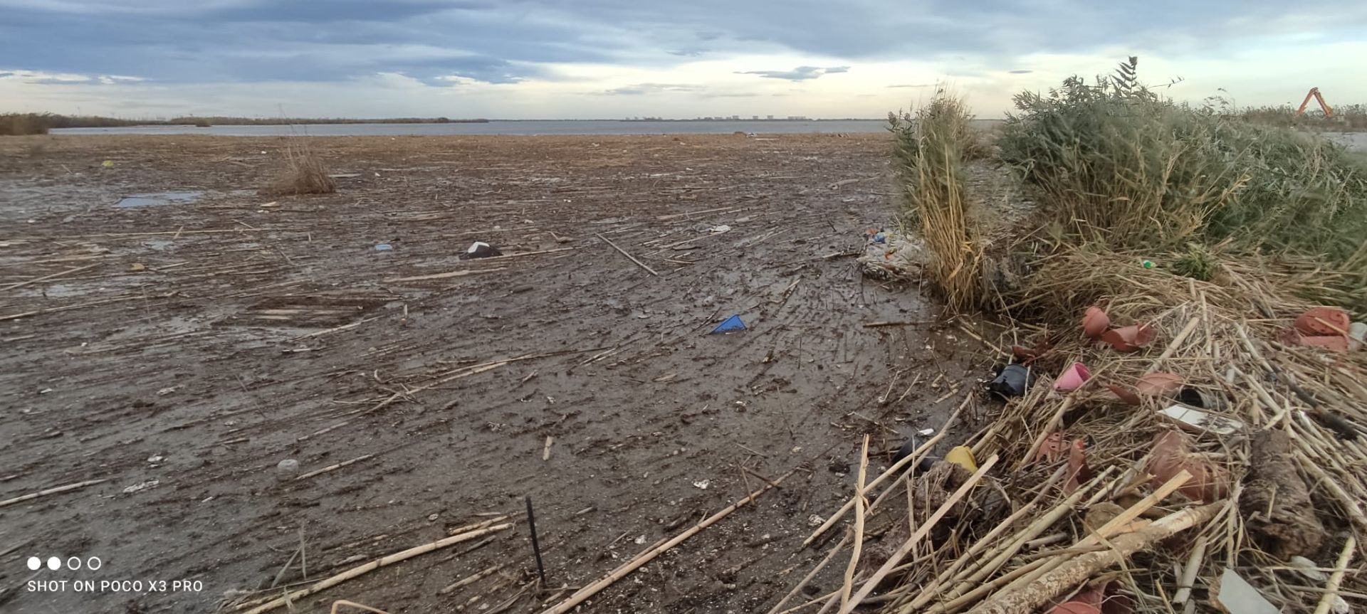 Residuos arrastrados por la DANA en la Albufera