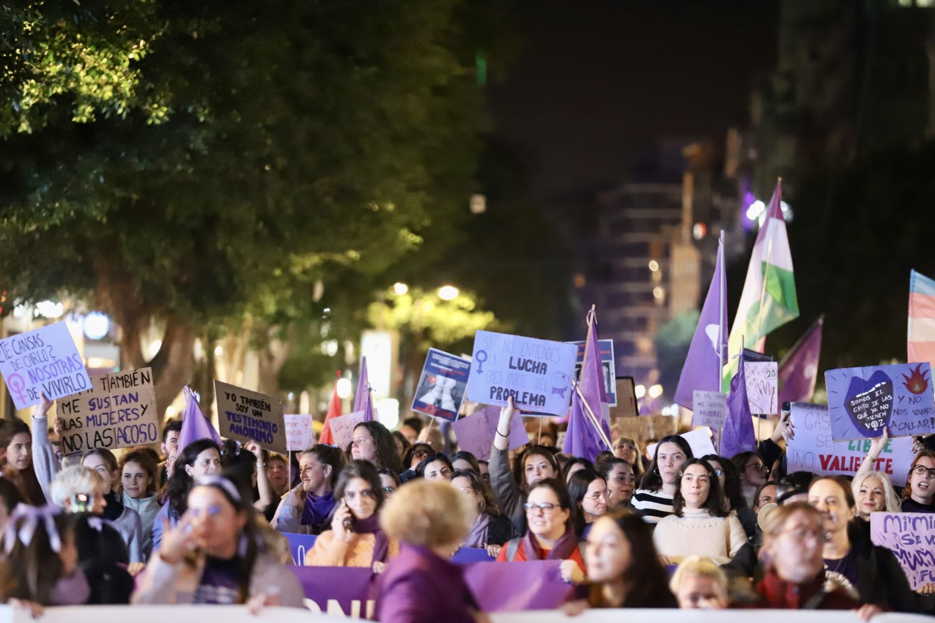 Las imágenes de la manifestación por el 25-N en Valencia