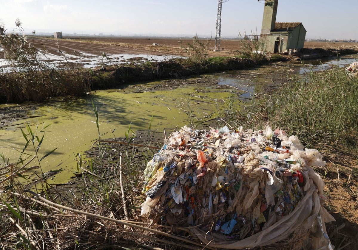 Un paraje de la Albufera tras la inundación.