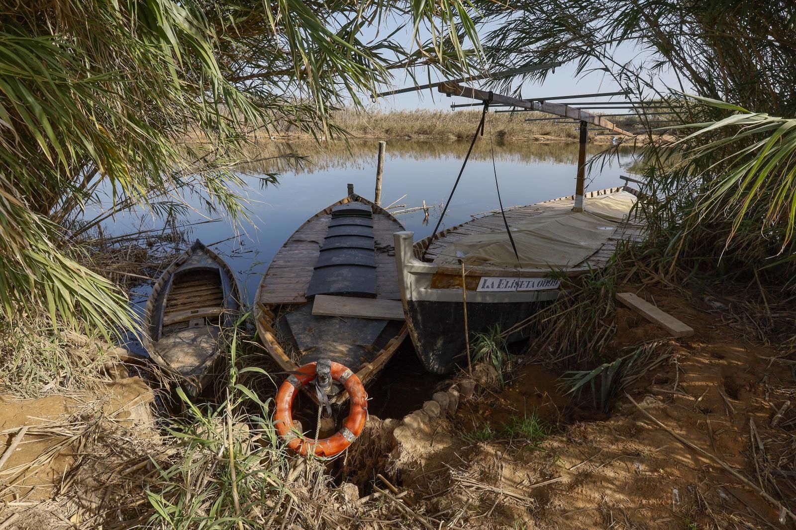 Así está la Albufera de Valencia un mes después de la DANA