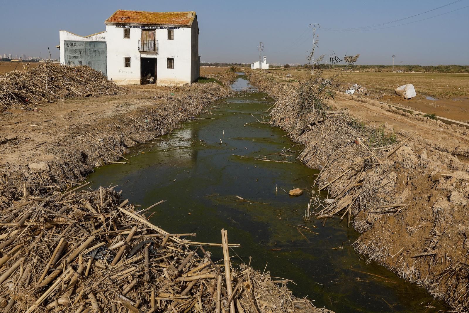 Así está la Albufera de Valencia un mes después de la DANA