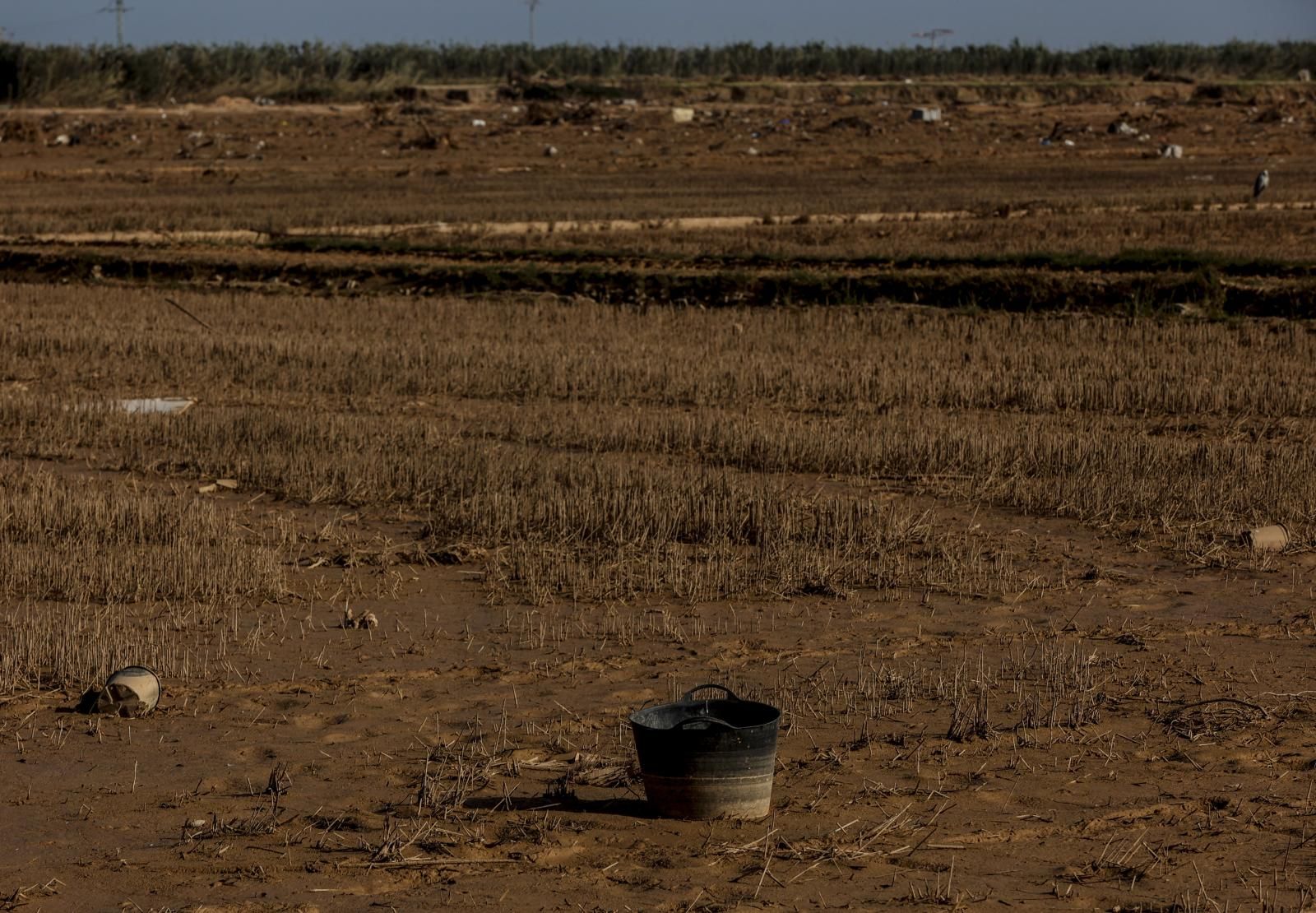 Así está la Albufera de Valencia un mes después de la DANA