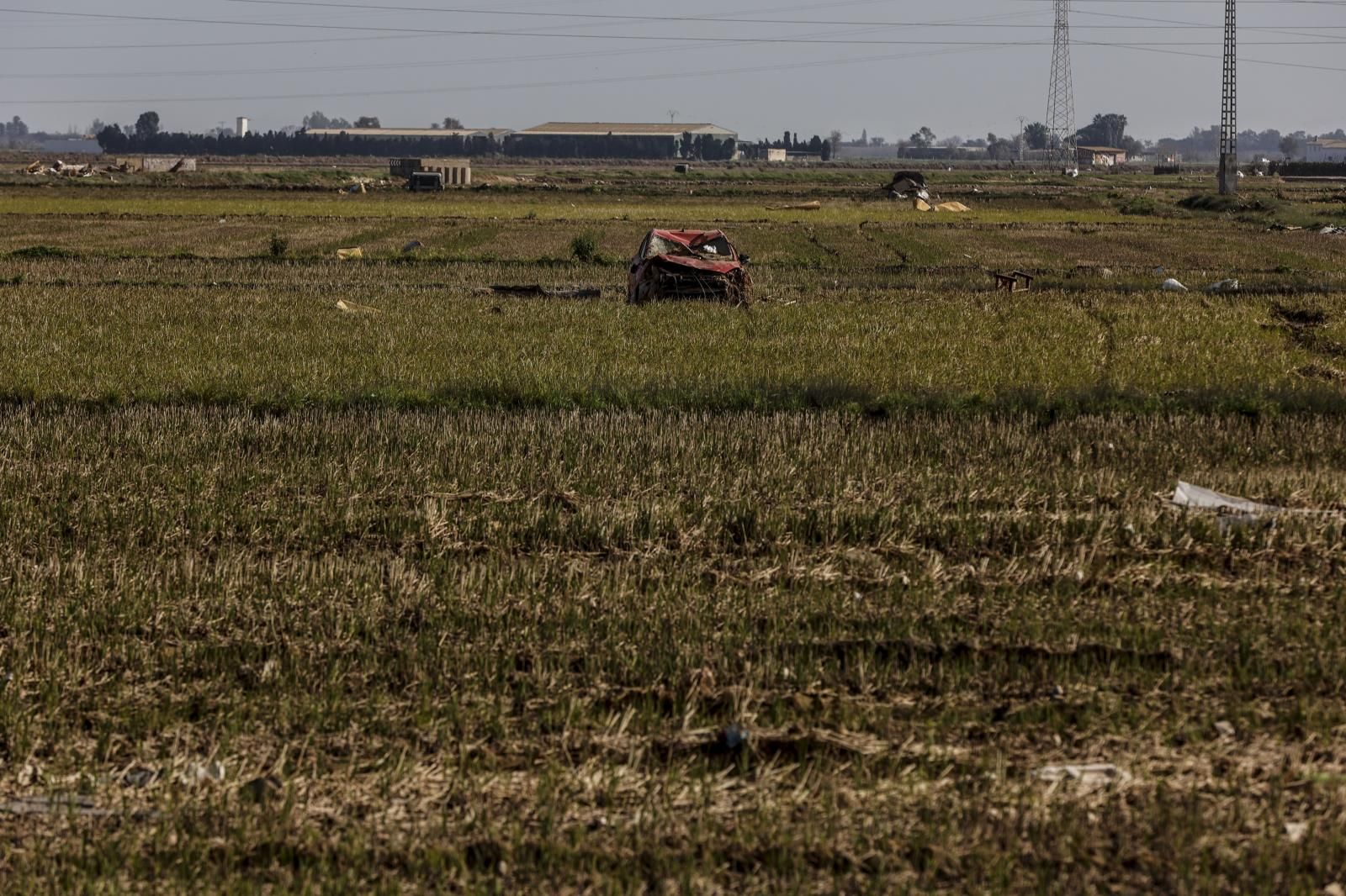 Así está la Albufera de Valencia un mes después de la DANA