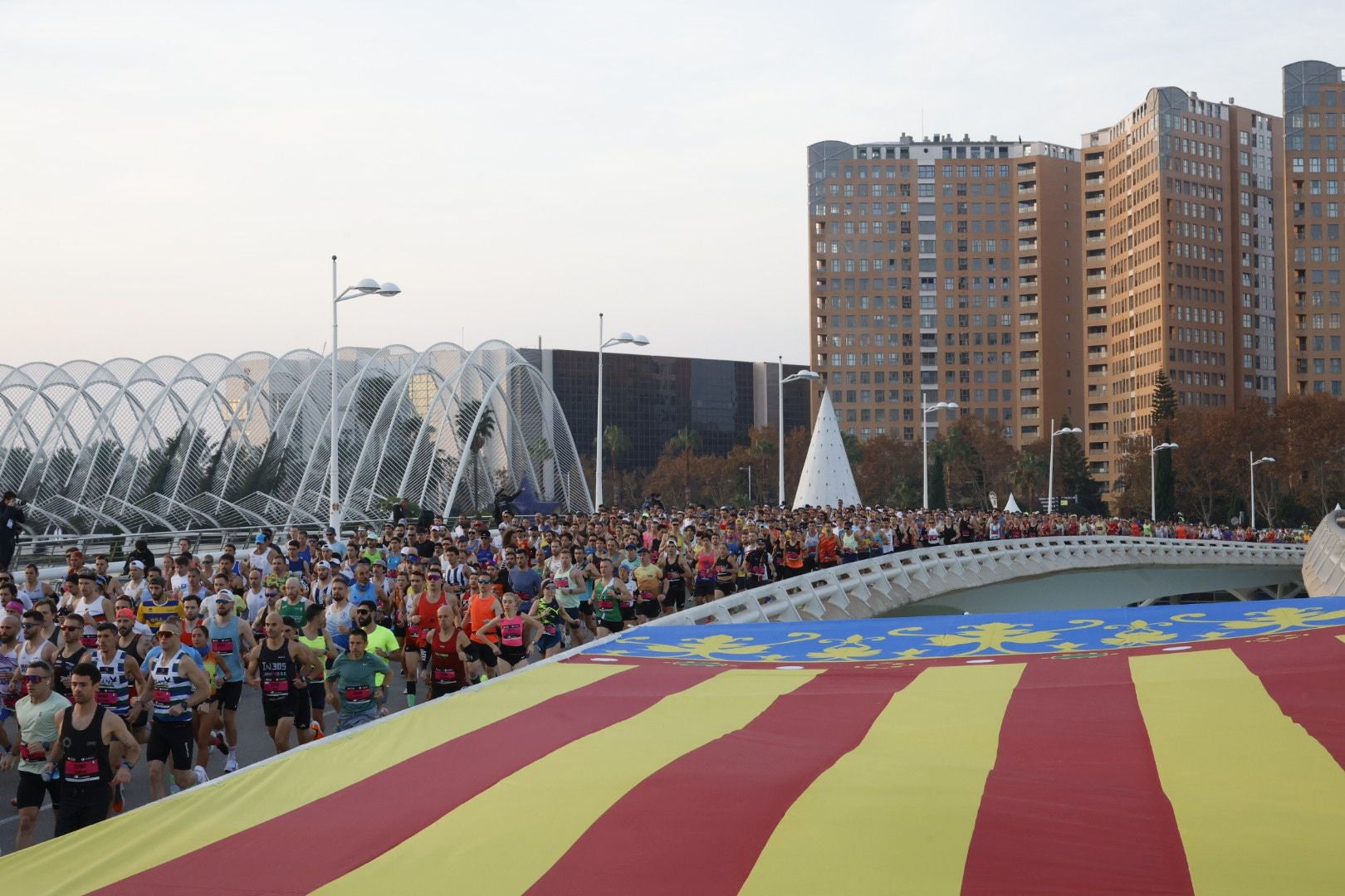 Las mejores imágenes del Maratón de Valencia 2024