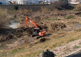 Limpieza del barranco en marzo de 2023.