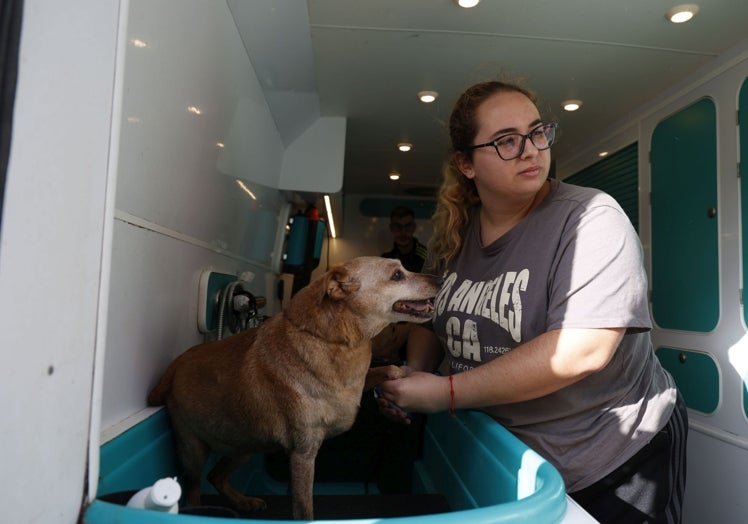 Elena, veterinaria de Paiporta.