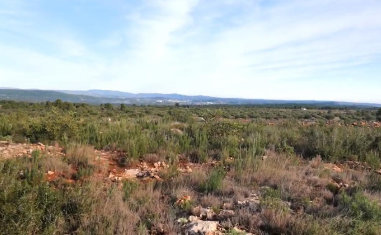 Zona donde se pretende ubicar la planta fotovoltaica.