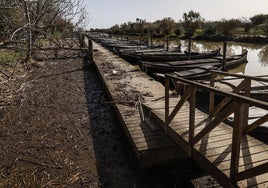 Aspecto de la Albufera tras la DANA.