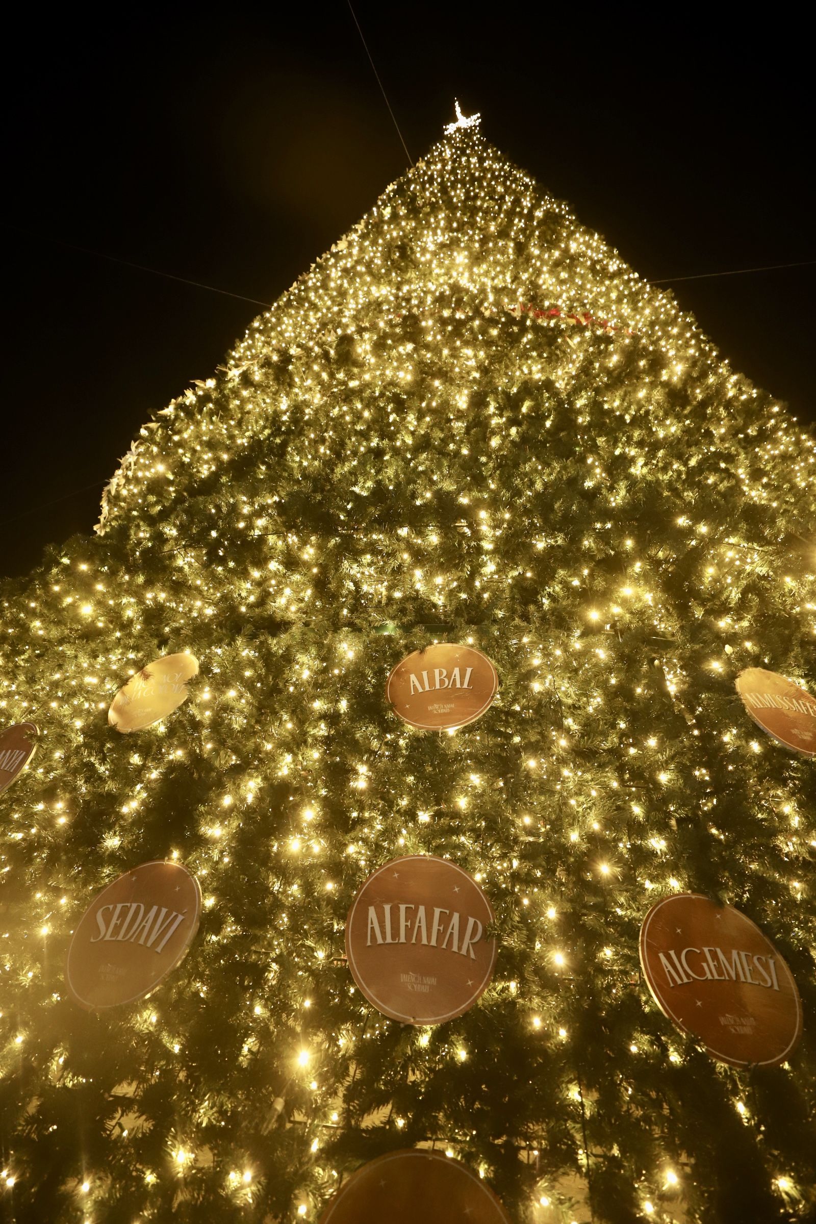 FOTOS: Valencia enciende las luces de Navidad 2024