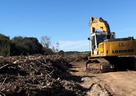 Trabajos de retirada de residuos del Parque Natural del Turia.