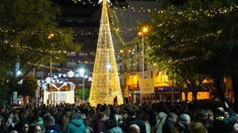 El árbol de Navidad que puede verse en la Plaza de la Concepción.