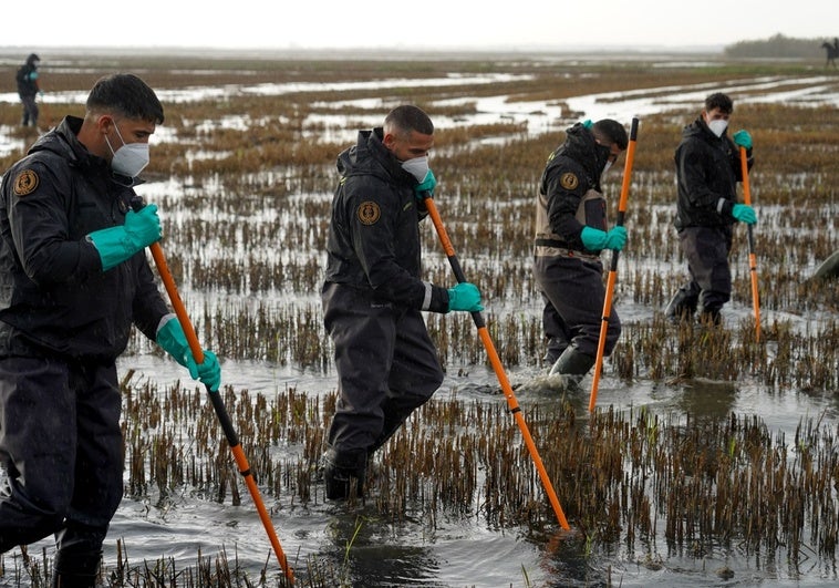 Varios agentes de la Guardia Civil siguen buscando víctimas en la Albufera.