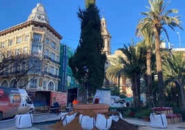 Árbol instalado en la plaza de la Reina de Valencia.