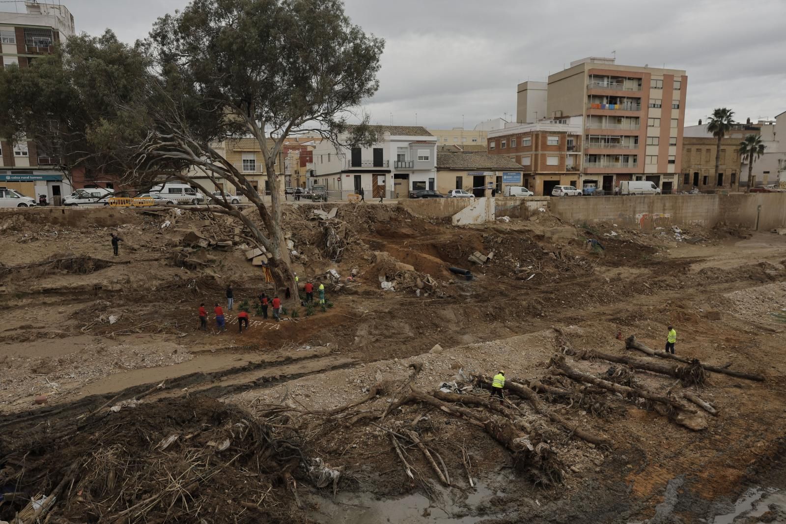 FOTOS | Un símbolo al que agarrarse en Paiporta