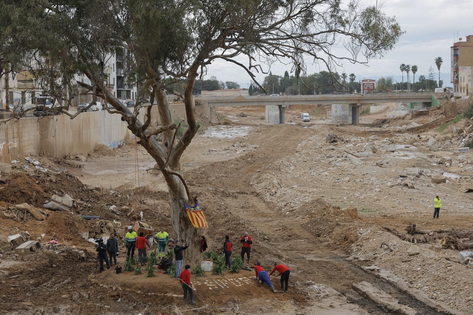 FOTOS | Un símbolo al que agarrarse en Paiporta