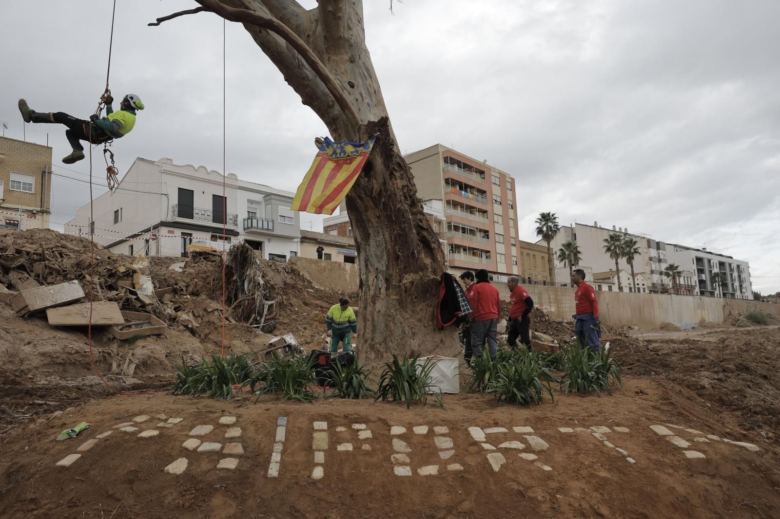 FOTOS | Un símbolo al que agarrarse en Paiporta