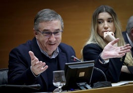 Rovira, durante la comisión de Educación de Les Corts.