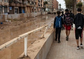 Alumnos que sí han podido regresar a sus colegios.