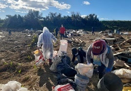 Varios voluntarios recogen restos en la Albufera.