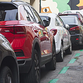 Zona verde en el barrio del Botánico.
