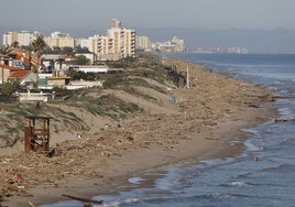 Panorámica de El Mareny y Sueca, lleno de cañas y troncos arrastrados por la dana de octubre.