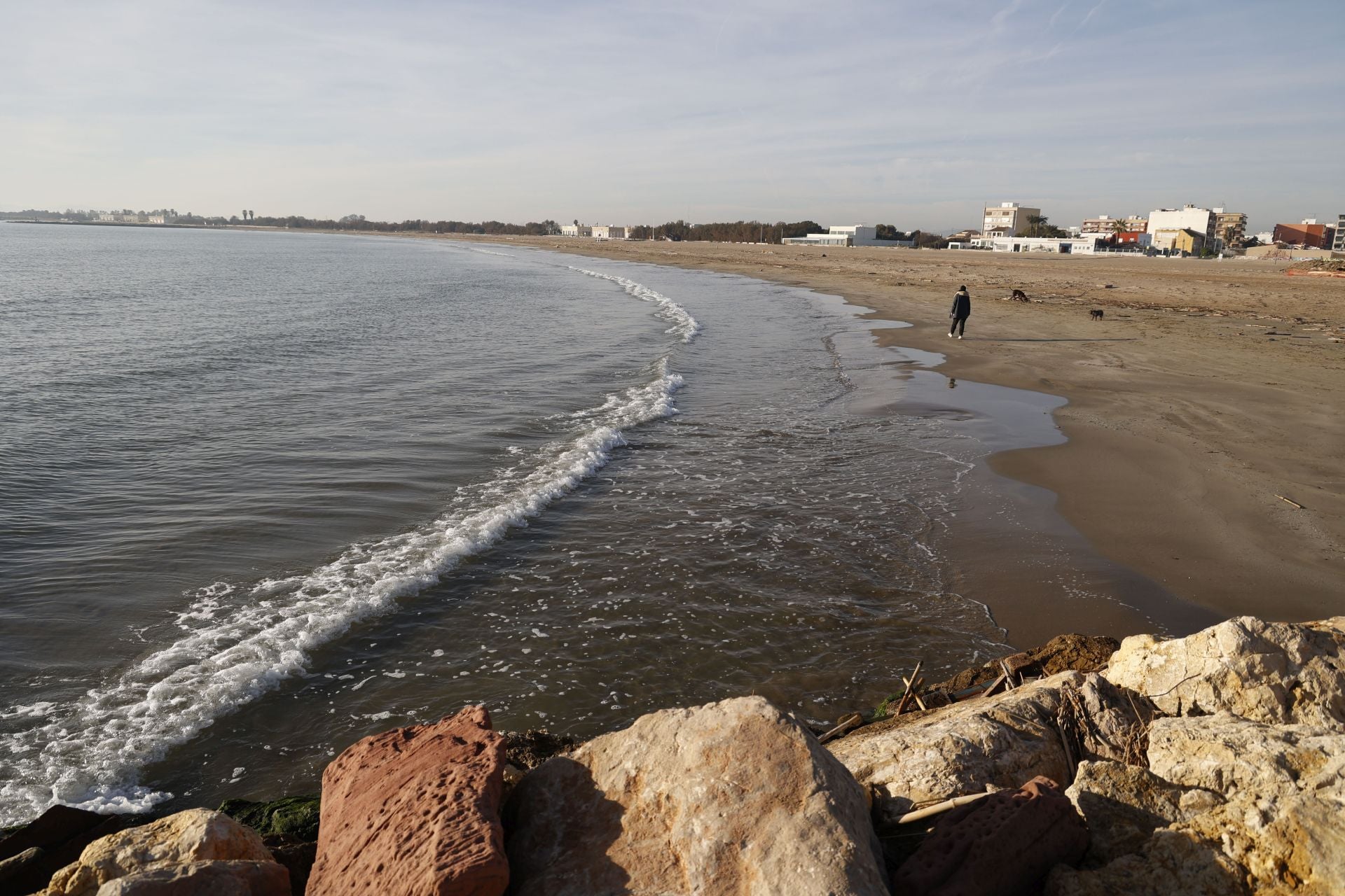 Cañas y troncos, varados en las playas del sur de Valencia