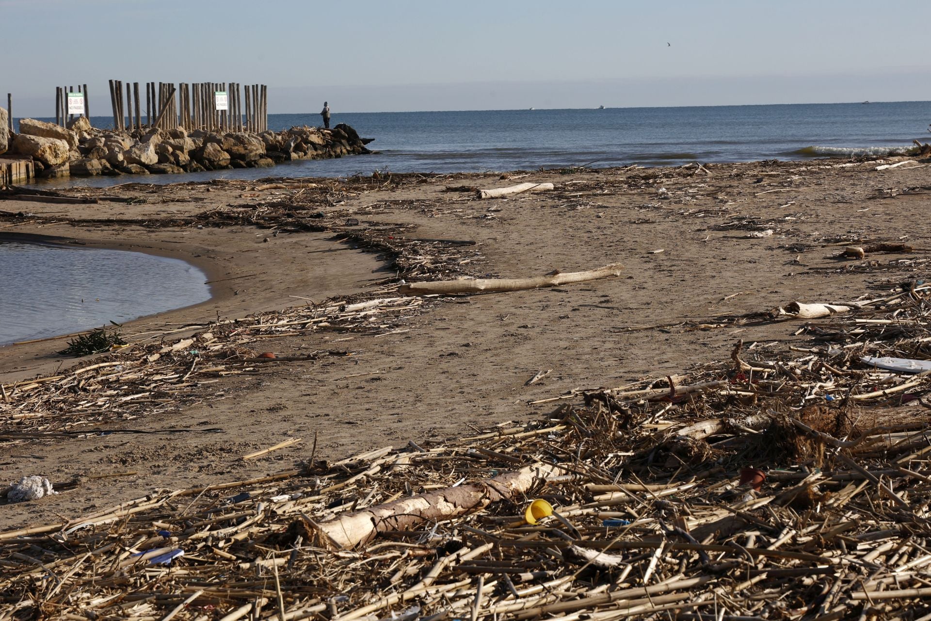 Cañas y troncos, varados en las playas del sur de Valencia