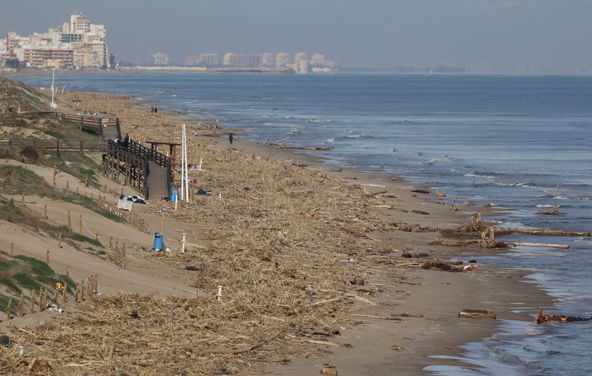 Cañas y troncos, varados en las playas del sur de Valencia