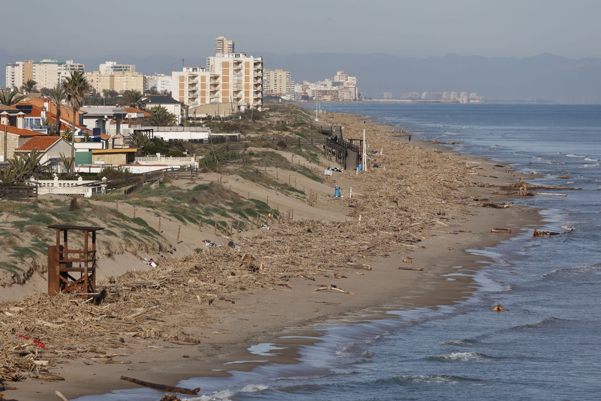 Cañas y troncos, varados en las playas del sur de Valencia