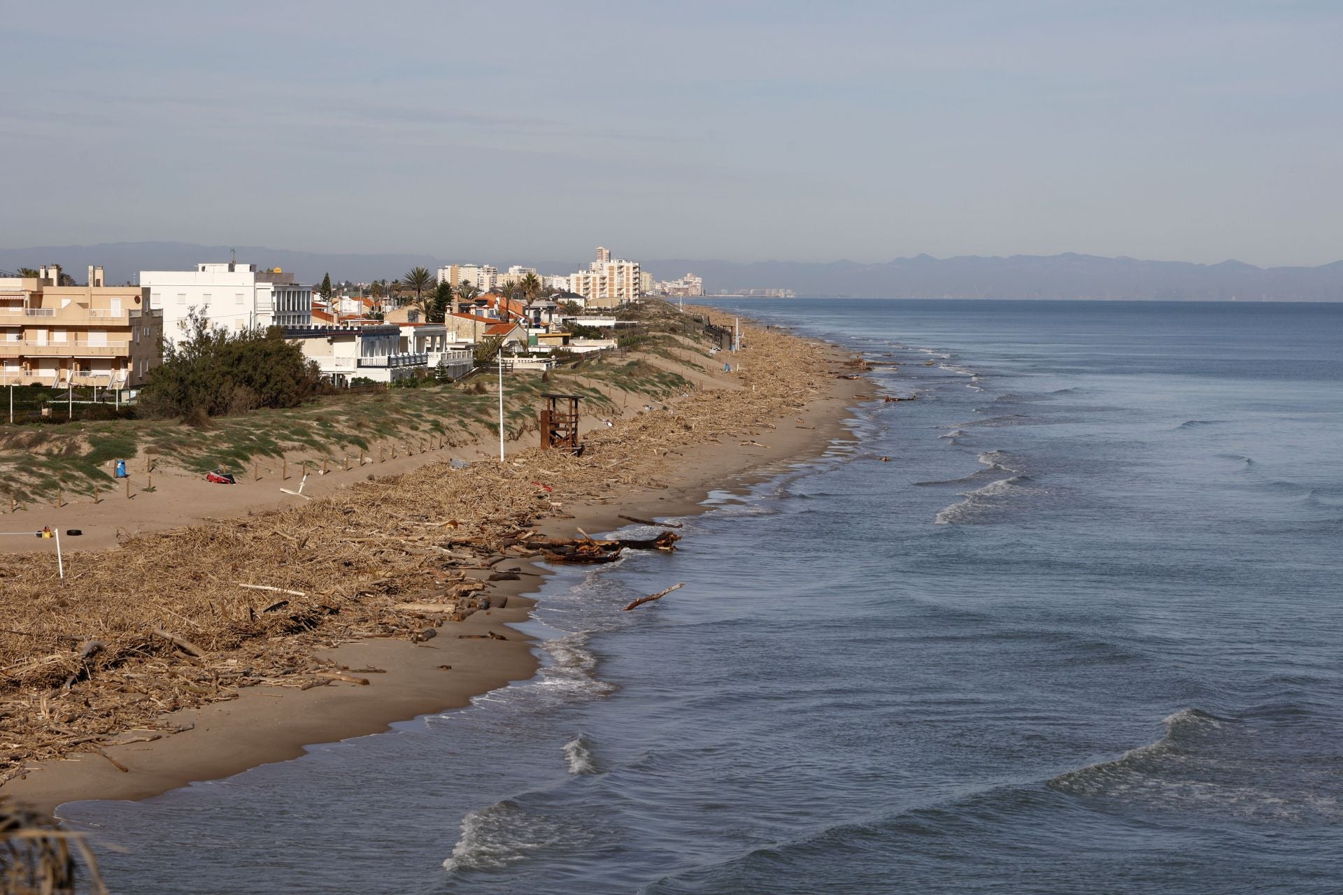 Cañas y troncos, varados en las playas del sur de Valencia