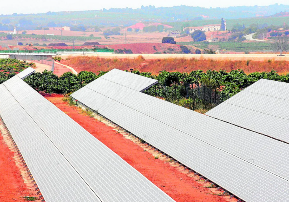 Parque solar fotovoltaico instalado entre viñedos ubicados en Requena.