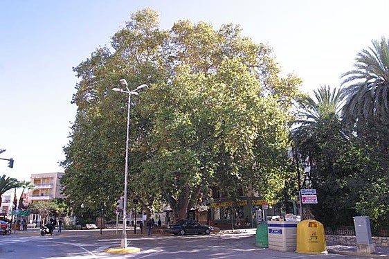 Zona de La Lloca donde se pretende cambiar el colector de aguas.
