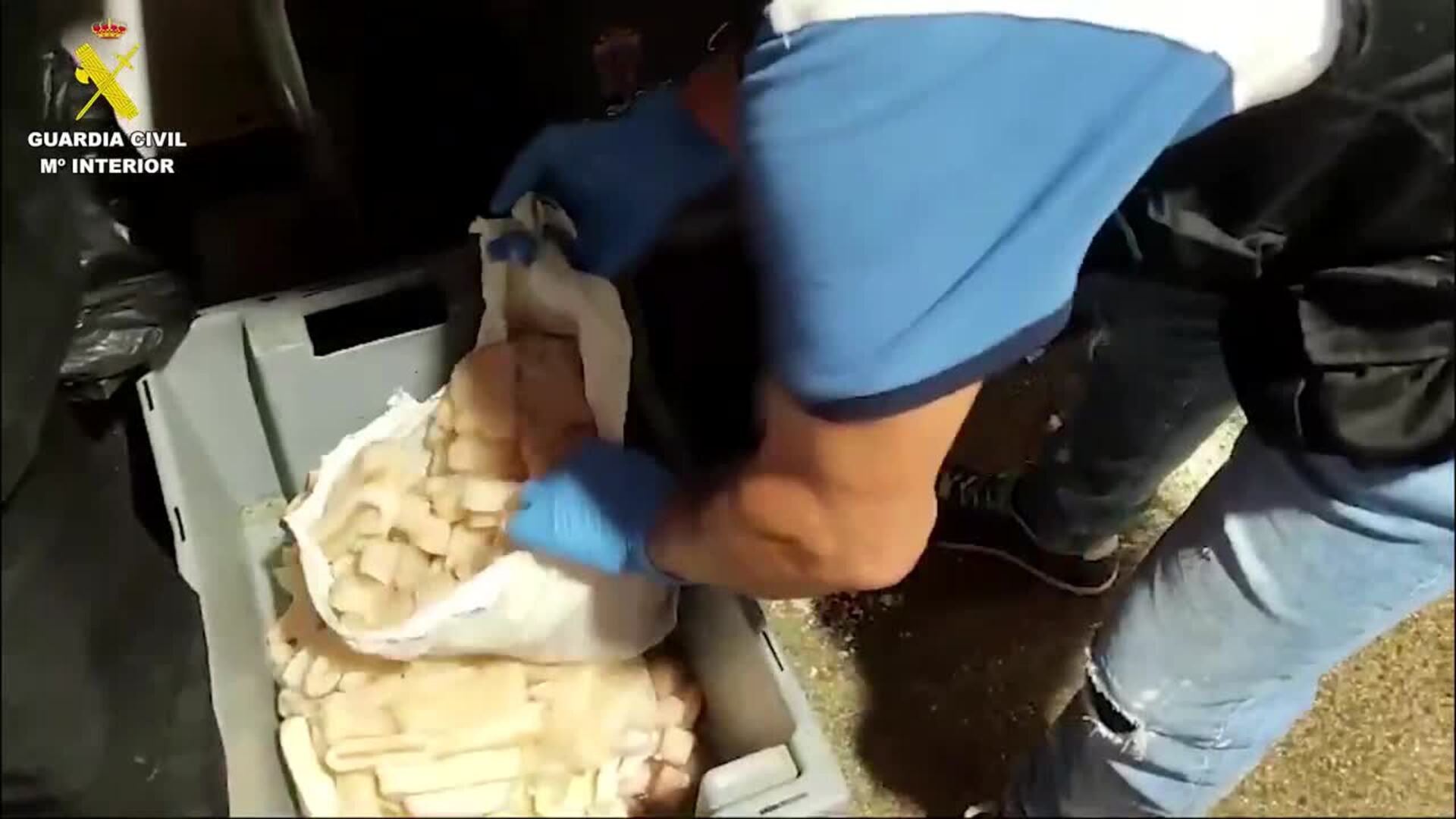 Intervienen 130 kilos de pescados, mariscos y carnes en mal estado