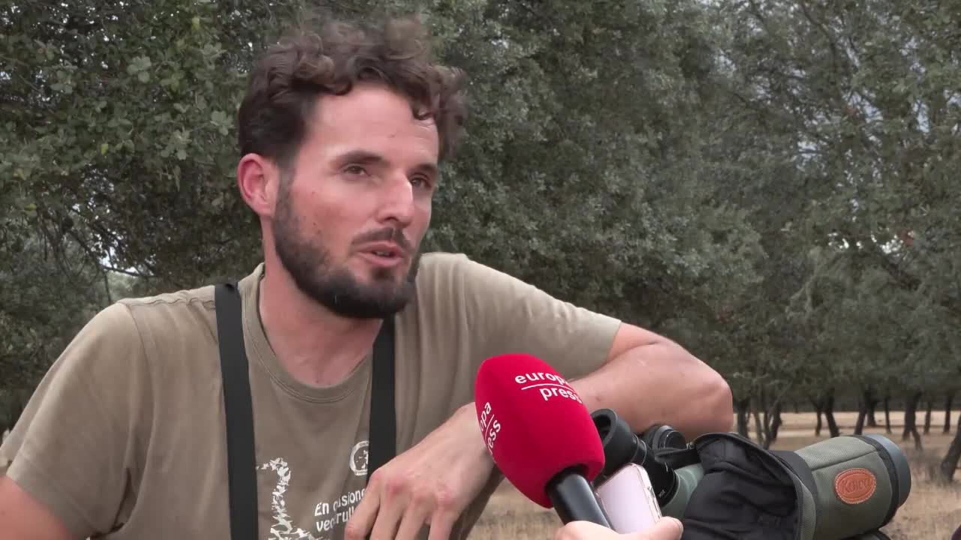 La berrea del ciervo es un sonido "fuerte y estridente que envuelve la noche" en La Siberia