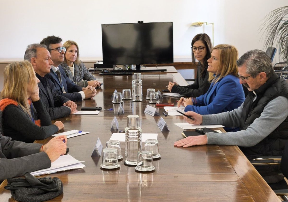 Reunión entre la delegada de Gobierno, los empresarios y el comisionado para la recuperación.