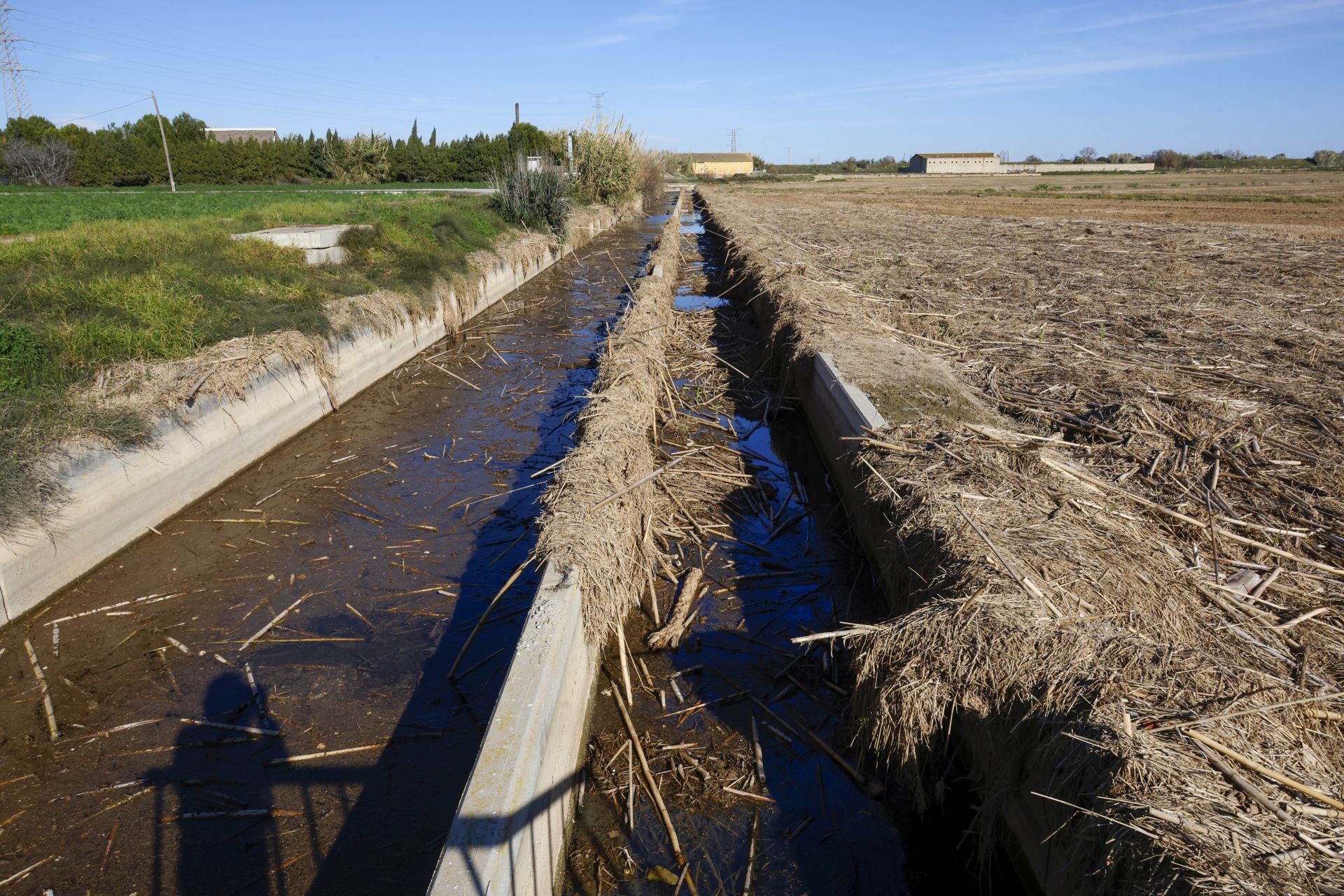 Trabajo contrarreloj para limpiar los miles de escombros de la dana que estrangulan la entrada de agua a la Albufera