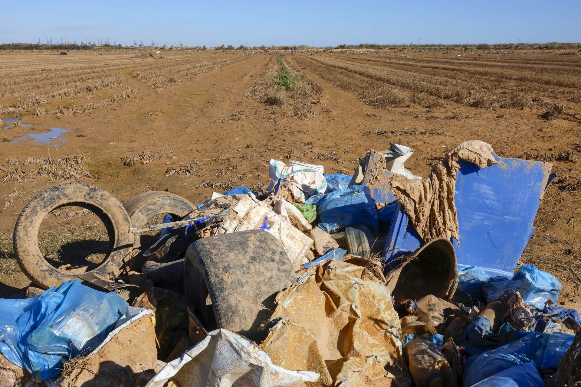 Trabajo contrarreloj para limpiar los miles de escombros de la dana que estrangulan la entrada de agua a la Albufera