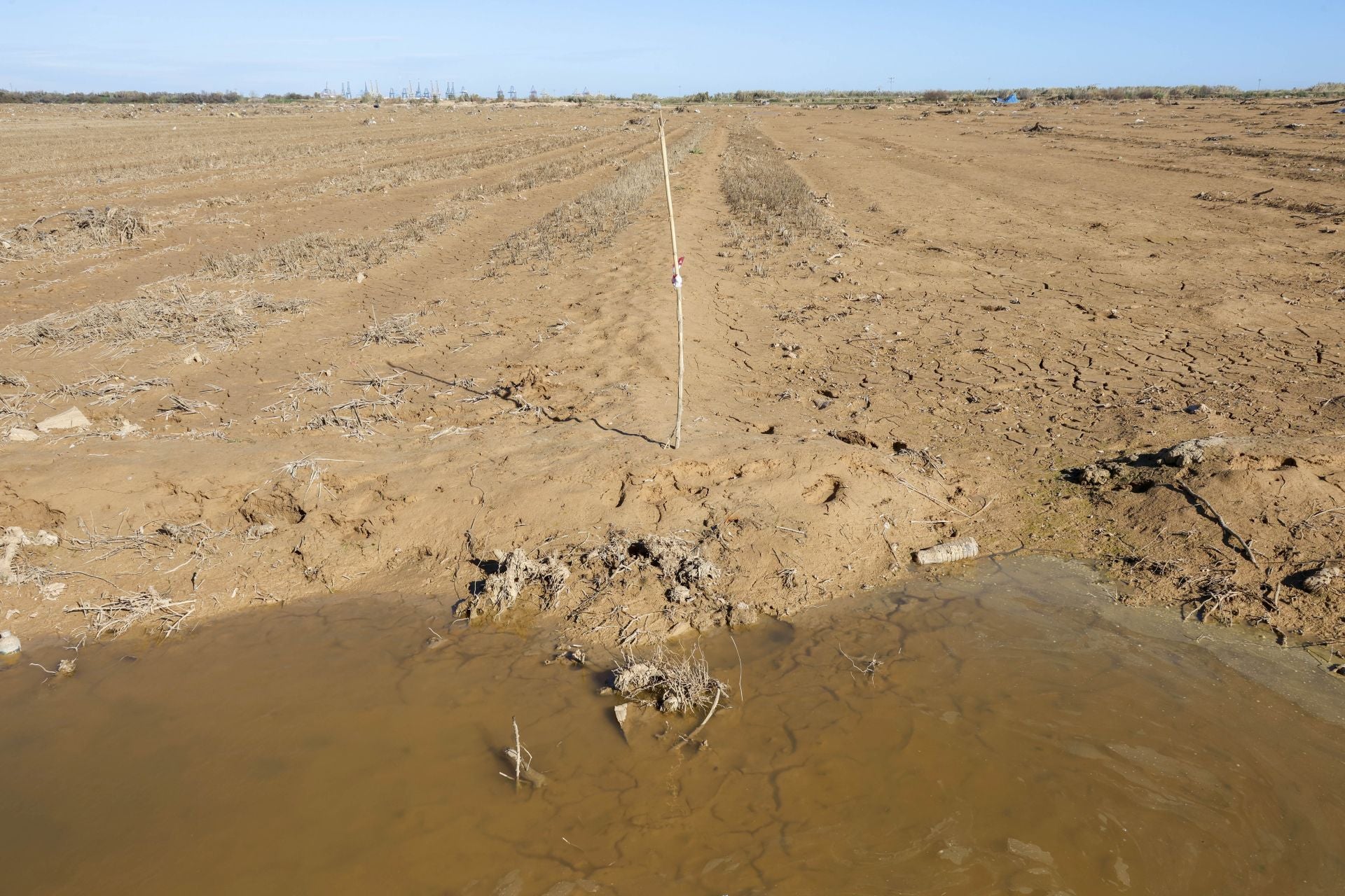 Trabajo contrarreloj para limpiar los miles de escombros de la dana que estrangulan la entrada de agua a la Albufera